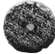 Uro-Fiber 50/50 Black/White 6"